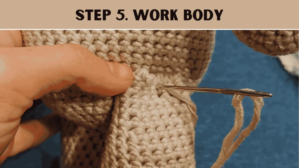 To crochet a teddy bear, the 5th step is to Work Body