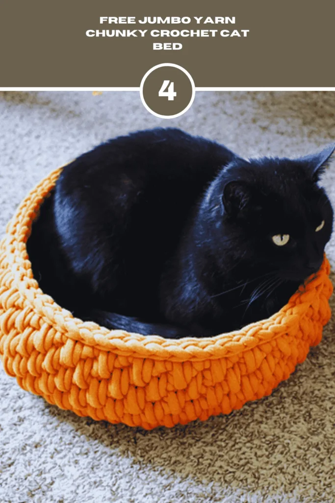 Free Jumbo Yarn Chunky Crochet Cat Bed