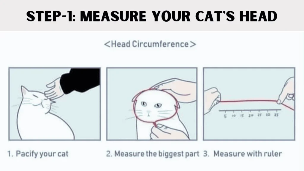 Wanna know how to crochet cat hat? The first step is to Measure Your Cat's Head.