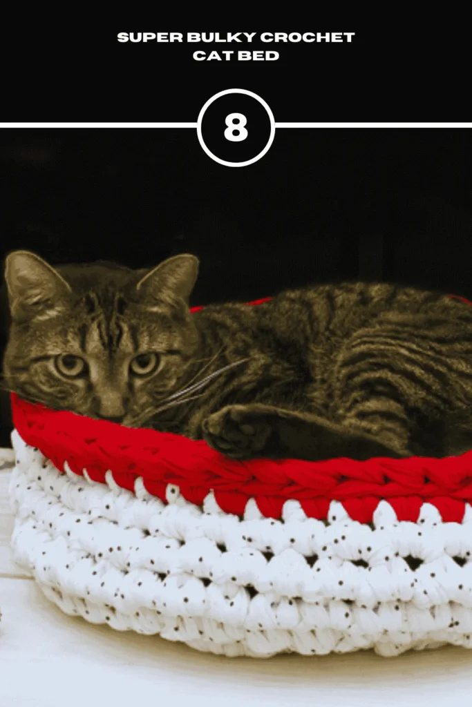 Super Bulky Crochet Cat Bed