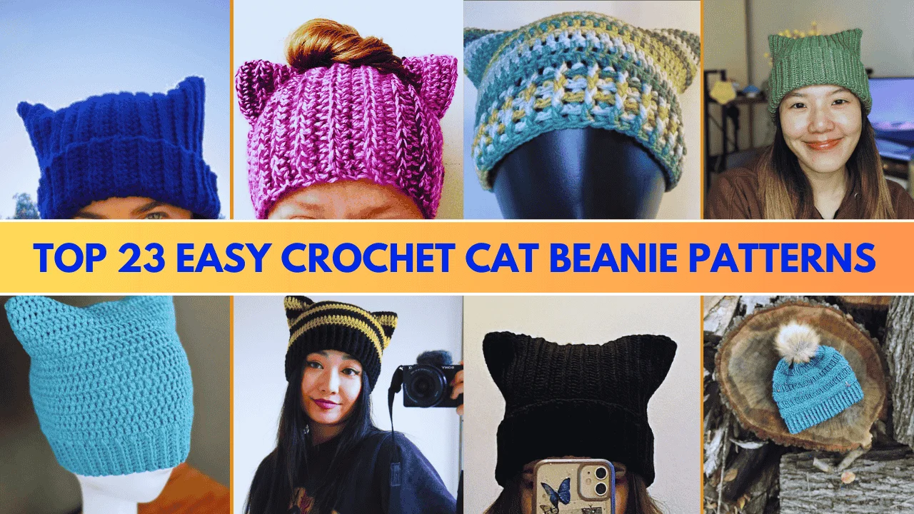 Top 23 Easy Crochet Cat Beanie Patterns