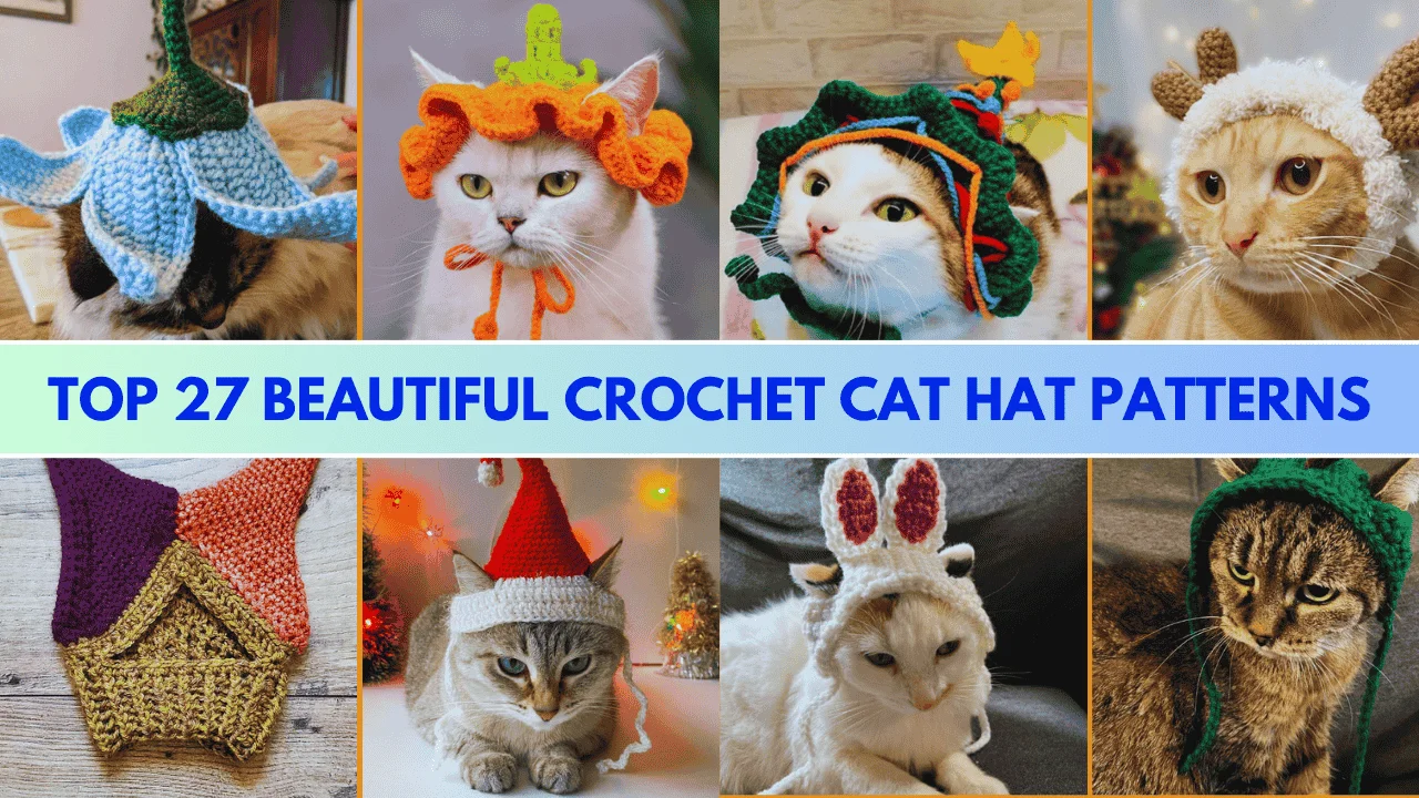 Crochet Cat Hat Pattern